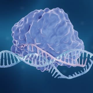 ClinGuide CRISPR sgRNA for Human Therapeutics